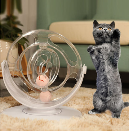 Cat Turntable Educational Toy