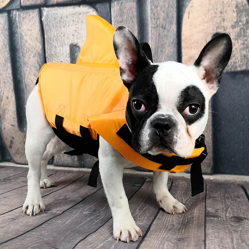 Shark Life Jacket