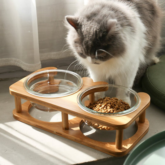 Glass Food Bowl