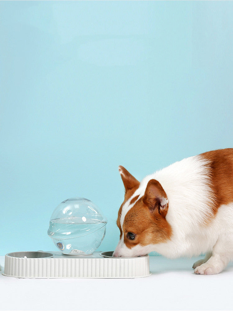 Automatic Water + Feeder