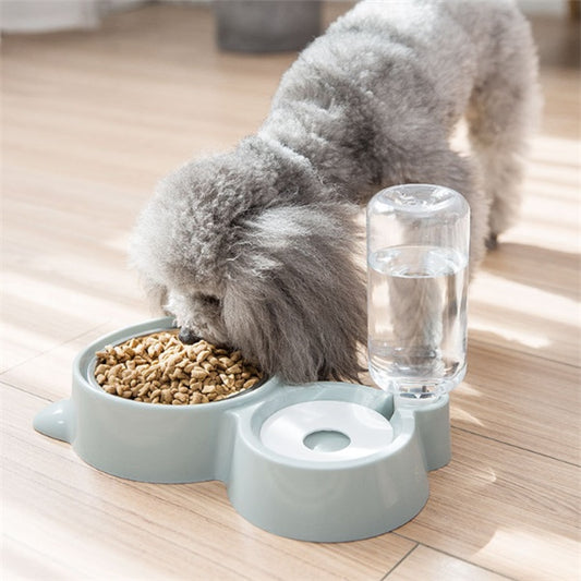 Pet Bowl + Automatic Water Bowl