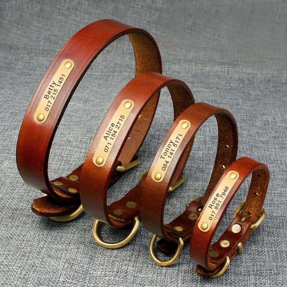 Custom Pet Collar