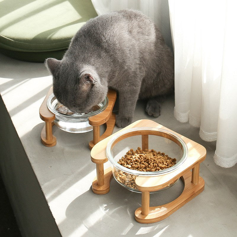 Glass Food Bowl