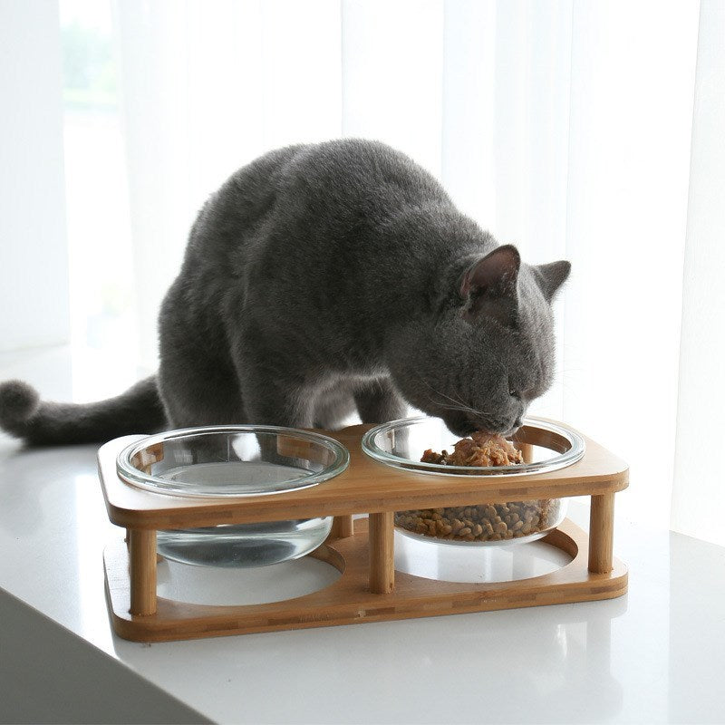 Glass Food Bowl