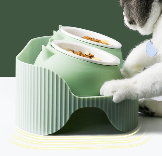 Ceramic Food Bowl