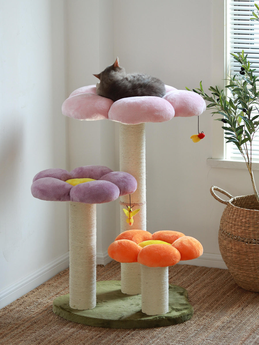 Household Jumping Platform Cat Toys