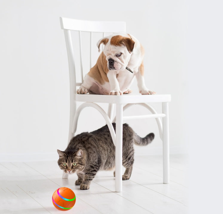 Intelligent Ball USB Cat Toys / Self Rotating Ball / Automatic Rotation Ball