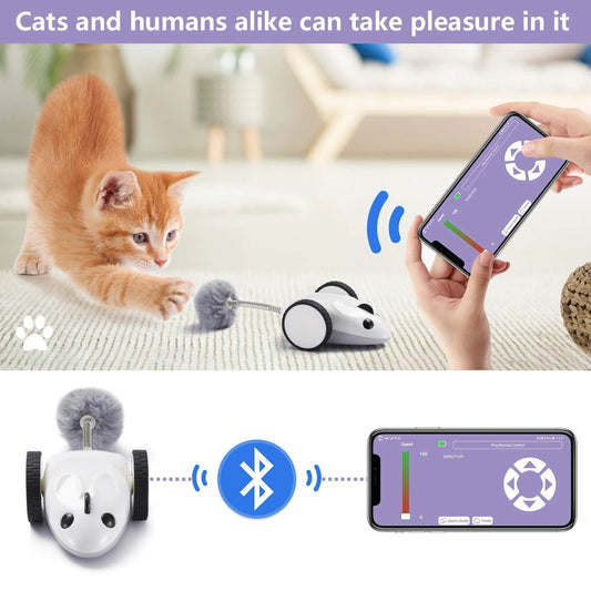 APP Electric Mouse Cat Toys